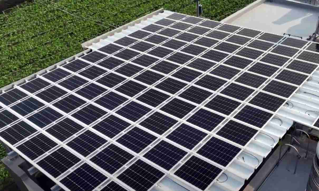 2468BETSunSteel光电浪板升级双玻结构，，，，以提升机械负载强度及气候耐候度，，，，可广泛运用于多元场域